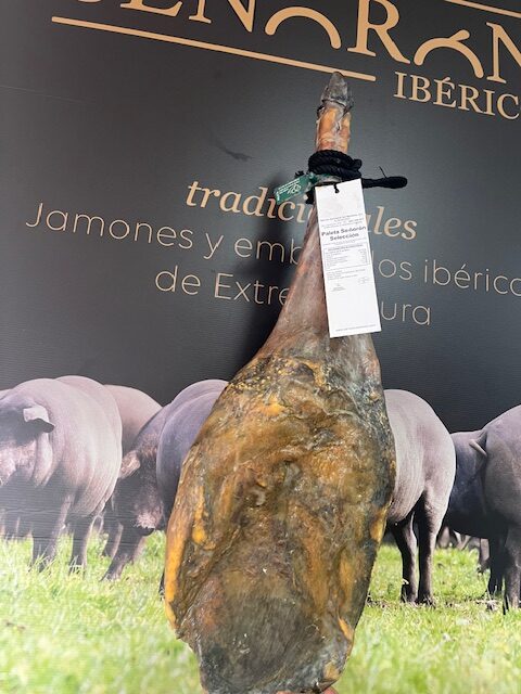 Paleta de Cebo de Campo Ibérica 50% Raza Ibérica